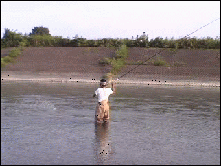 f0084561_11432429.gif