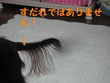 a0082765_0163612.jpg