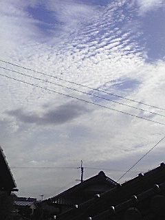 女心は秋の空?_e0136066_1112870.jpg