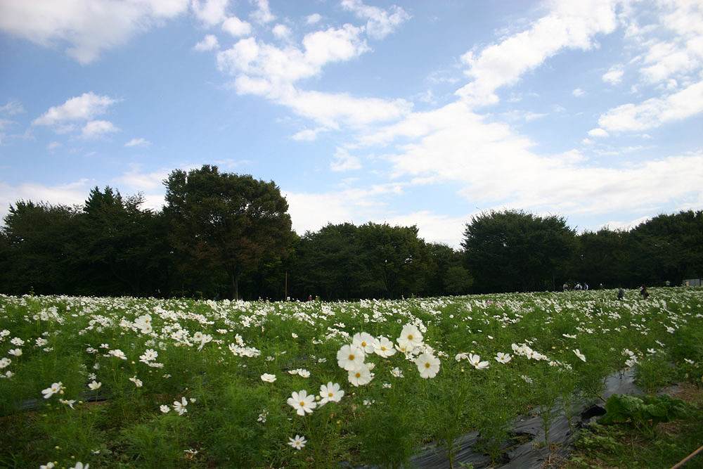 c0007169_18501.jpg