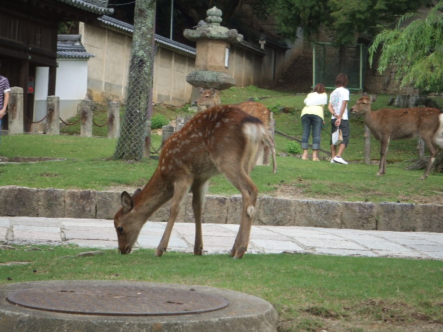 f0144970_18521899.jpg