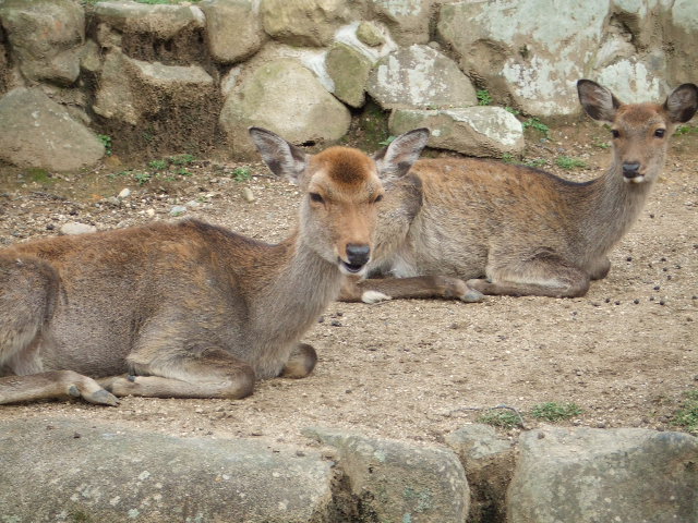 f0144970_18524049.jpg