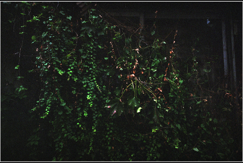 c0168172_14472559.jpg