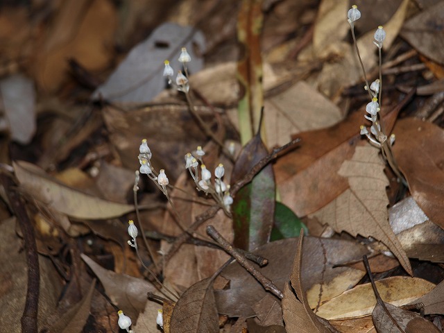 b0135573_18592142.jpg
