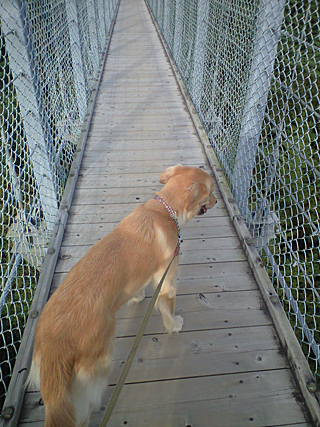 c0019774_17401479.jpg