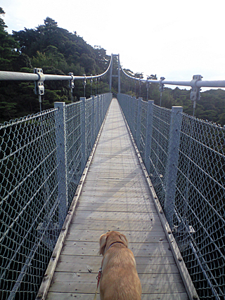 c0019774_17415237.jpg