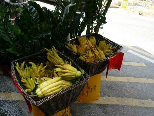 香港旅行記3 part4 九龍街編_f0097683_10402690.jpg