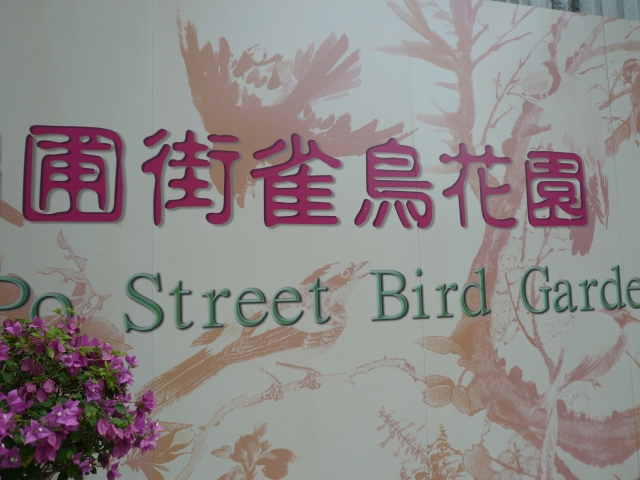 香港旅行記3 part4 九龍街編_f0097683_10404365.jpg