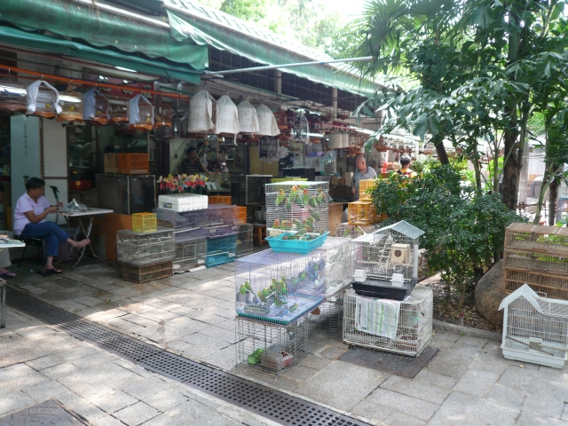 香港旅行記3 part4 九龍街編_f0097683_10405598.jpg