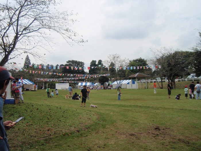 c0075585_9214792.jpg