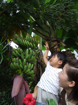 e0028387_00680.jpg