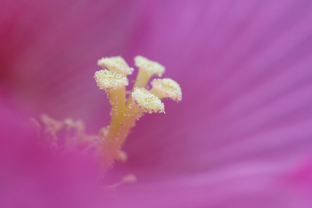 b0067789_8427.jpg