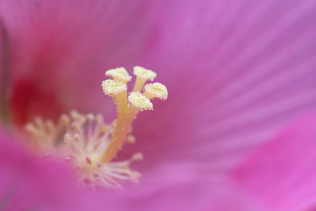 b0067789_85215.jpg