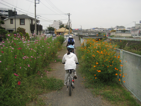 ランチに行こう、自転車で_b0097200_17164436.jpg