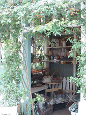 c0129702_15145640.gif