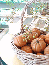 c0129702_1562629.gif