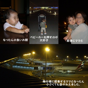 豆台風一過_c0051105_0223070.jpg