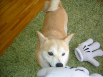 e0131506_00233.jpg