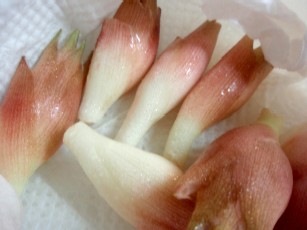 f0043911_124255.jpg