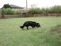 e0100618_18542083.jpg