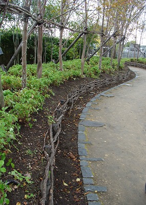 f0170524_16114111.jpg