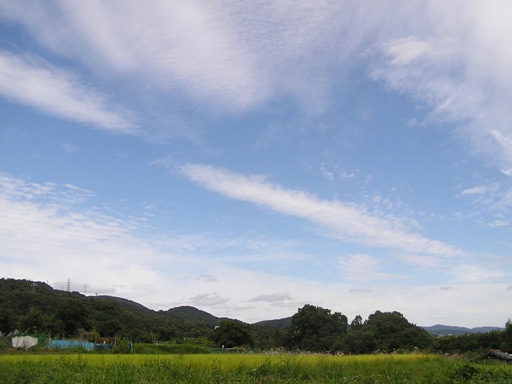 f0009128_1341854.jpg