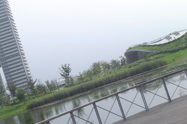 c0127029_913590.jpg