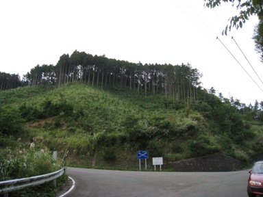 c0077338_22352937.jpg