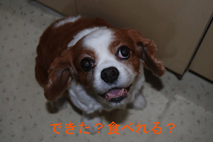 c0136838_13302251.gif