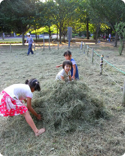 秋の公園 その２～草のトランポリン_f0118538_202909.jpg