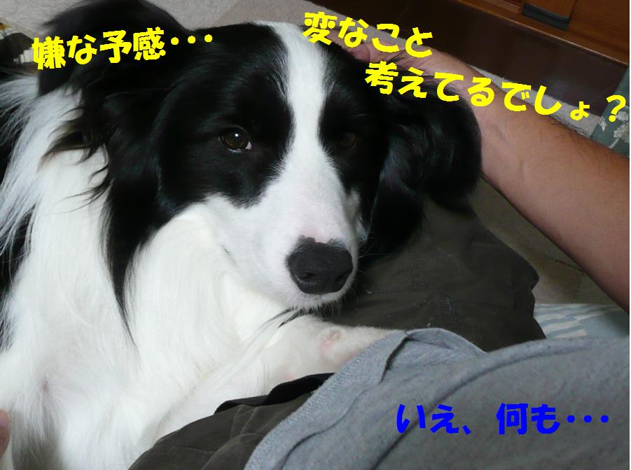 c0147241_21273374.jpg