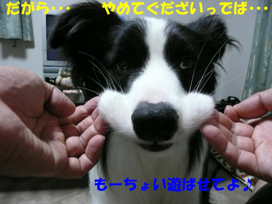 c0147241_21392241.jpg
