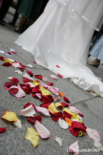 区役所で結婚式!_c0024345_539126.jpg
