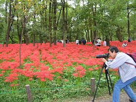 花を撮る人を撮る_f0139963_22205010.jpg