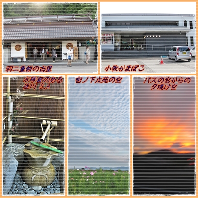 a0052666_938265.jpg