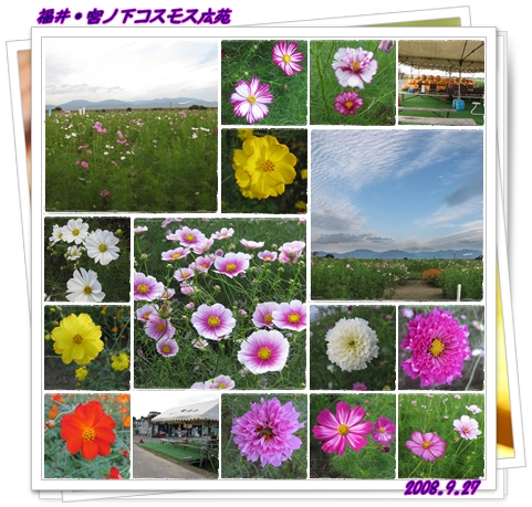 a0052666_942059.jpg