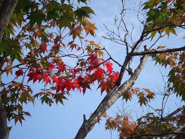 f0178471_09661.jpg
