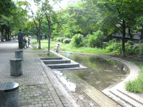 f0159480_19543365.jpg