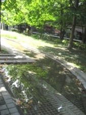 f0159480_19584223.jpg