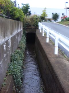 河川における管理者不明の橋