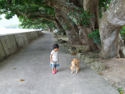 e0028387_014742.jpg