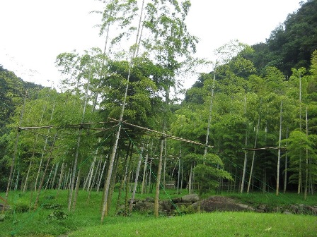 鹿児島「仙巌園（磯庭園）」へ_f0146587_8292673.jpg