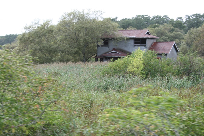 d0082288_16341724.jpg
