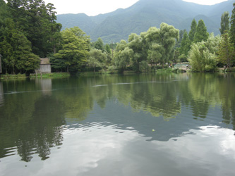 e0099291_23131777.jpg