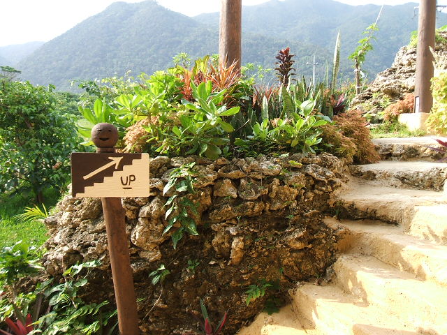 e0084001_1021567.jpg