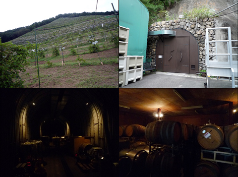 COCO FARM&WINERY_a0004612_12275529.jpg