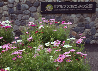 c0047814_9163567.jpg