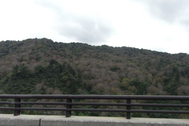 d0075828_2182059.jpg