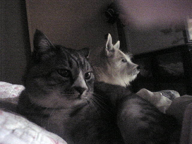 c0164236_20454172.jpg