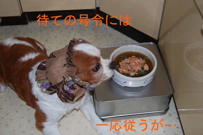 c0136838_12394599.gif